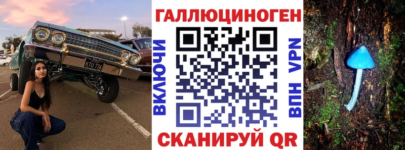 Псилоцибиновые грибы Psilocybe  kraken ссылки  Куртамыш 